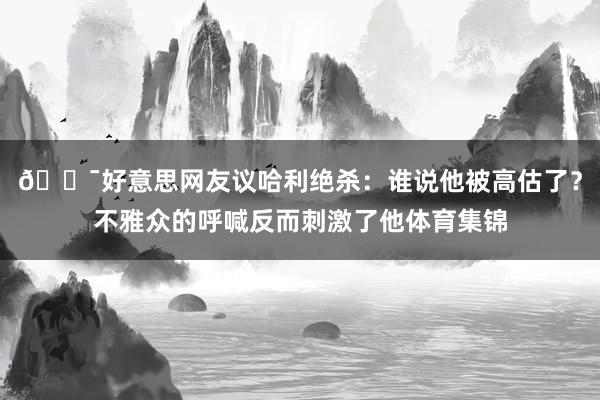 🎯好意思网友议哈利绝杀：谁说他被高估了？不雅众的呼喊反而刺激了他体育集锦