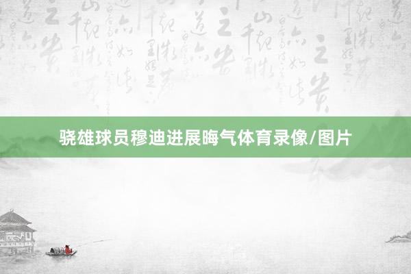 骁雄球员穆迪进展晦气体育录像/图片