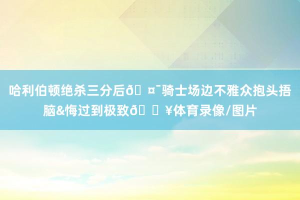 哈利伯顿绝杀三分后🤯骑士场边不雅众抱头捂脑&悔过到极致😥体育录像/图片