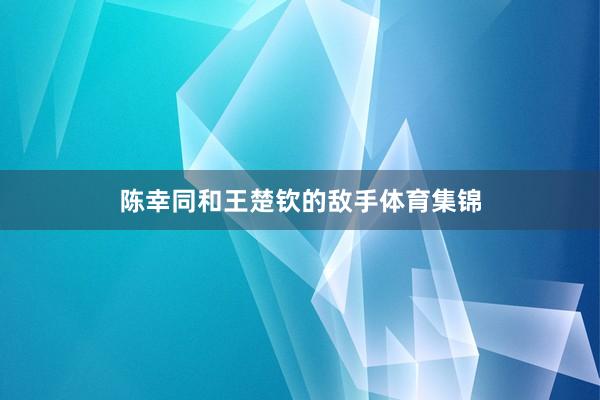 陈幸同和王楚钦的敌手体育集锦