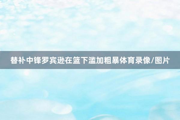替补中锋罗宾逊在篮下滥加粗暴体育录像/图片