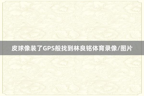 皮球像装了GPS般找到林良铭体育录像/图片