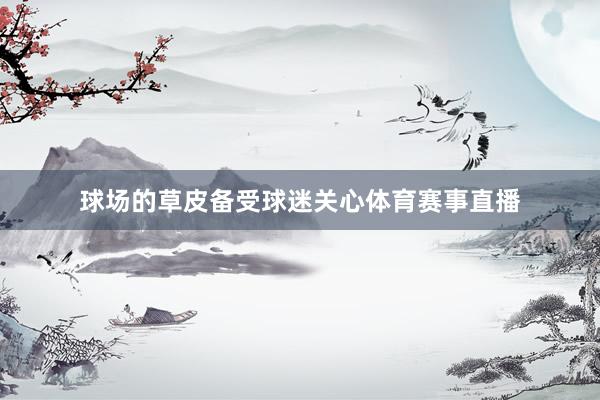 球场的草皮备受球迷关心体育赛事直播