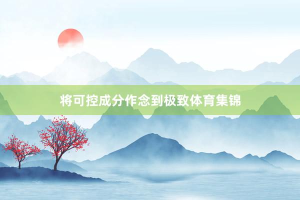 将可控成分作念到极致体育集锦