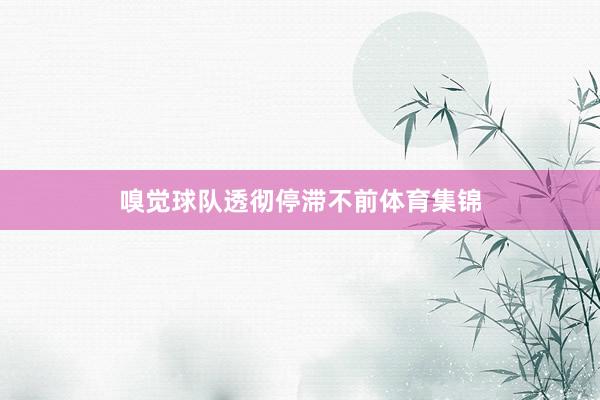 嗅觉球队透彻停滞不前体育集锦