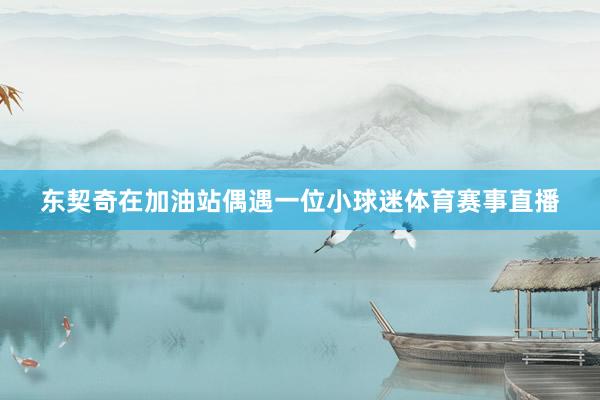 东契奇在加油站偶遇一位小球迷体育赛事直播