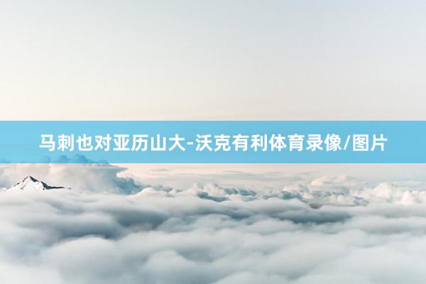 马刺也对亚历山大-沃克有利体育录像/图片