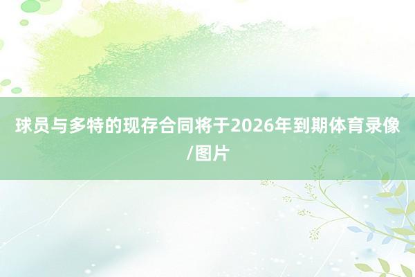 球员与多特的现存合同将于2026年到期体育录像/图片