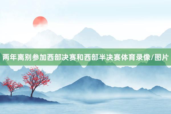 两年离别参加西部决赛和西部半决赛体育录像/图片