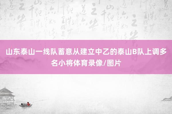 山东泰山一线队蓄意从建立中乙的泰山B队上调多名小将体育录像/图片