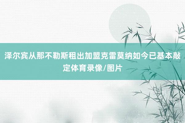 泽尔宾从那不勒斯租出加盟克雷莫纳如今已基本敲定体育录像/图片