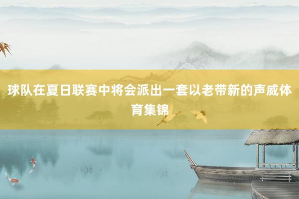 球队在夏日联赛中将会派出一套以老带新的声威体育集锦