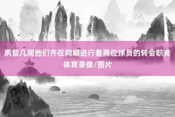 夙昔几周他们齐在同期进行着两位球员的转会职责体育录像/图片